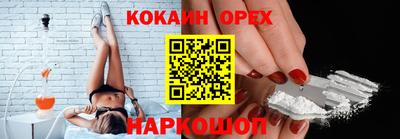 крисы Будённовск