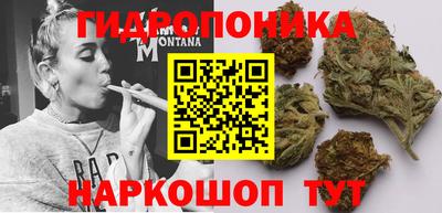 СК Бузулук